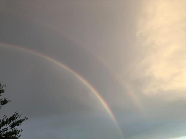 33089731_651480042486_5287048580383637504_o